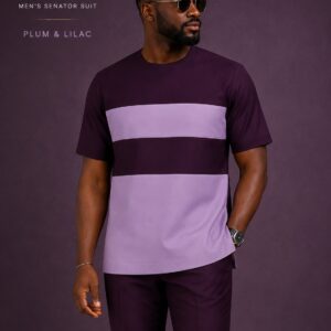 Joel Color Block Senator Suit